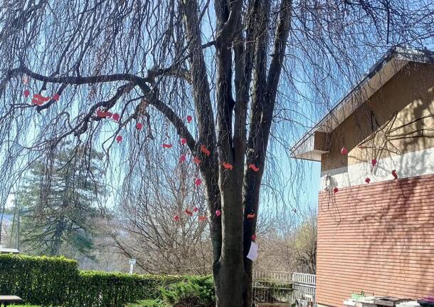 l'albero delle giuste a scuola