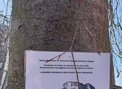 l'albero delle giuste a scuola