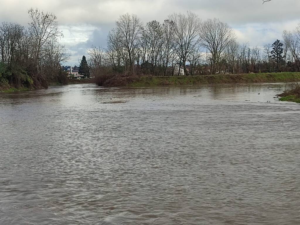 L'Olona in piena nell'Isola del Castello a Legnano 