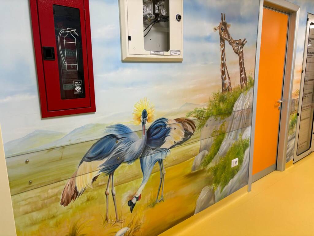 La nuova pediatria dell'ospedale Galmarini