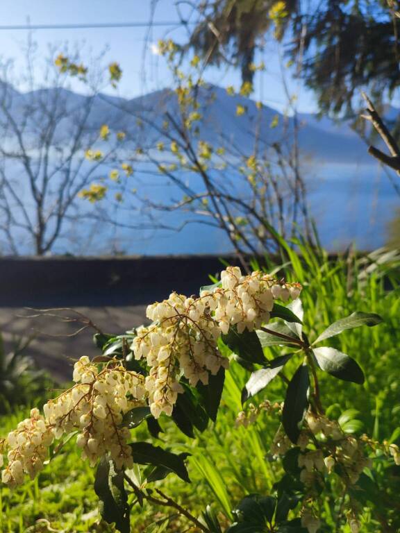 Lago Maggiore a inizio primavera - Foto di Marzia Malesani