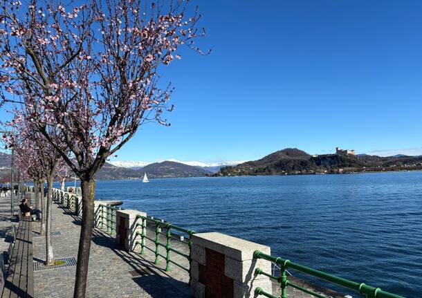 Lago maggiore primavera montagne innevate