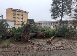 parco biblioteca cerro maggiore