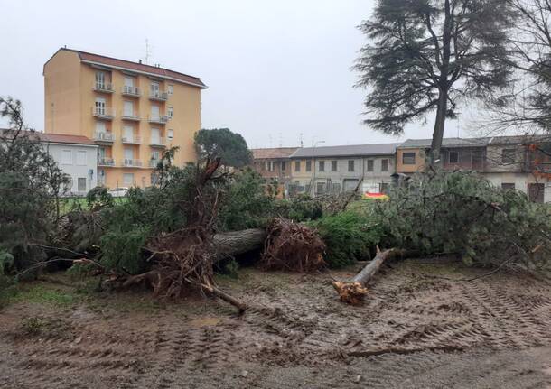 parco biblioteca cerro maggiore