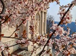 Primavera al Sacro Monte di Varese