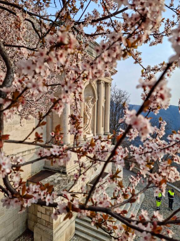 Primavera al Sacro Monte di Varese