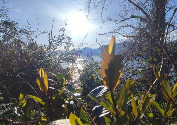 La primavera sul Lago Maggiore