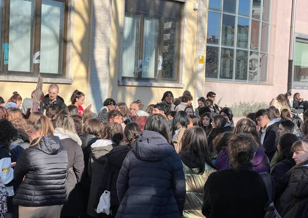 Studenti del liceo Candiani in sciopero