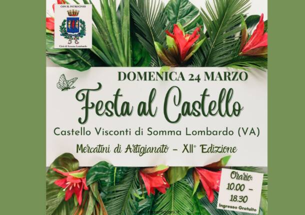 Festa al castello