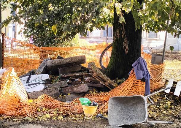 Tradate - Alberi di piazza Mazzini a rischio