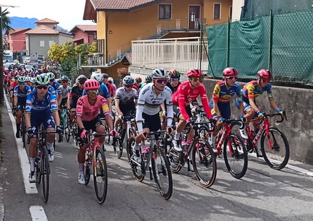 trofeo binda