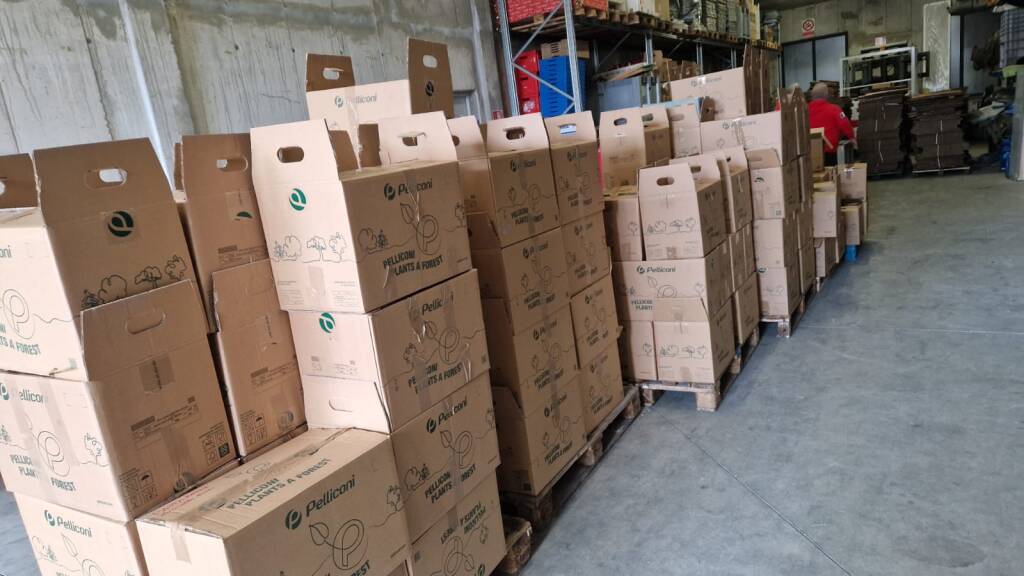 Un weekend di raccolta alimenti per la CRi di Varese