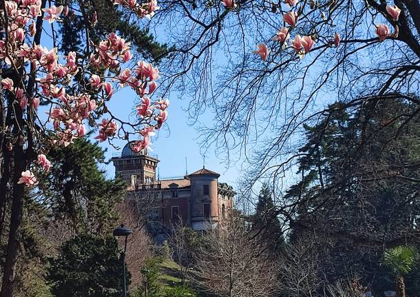 Villa Toeplitz a Varese