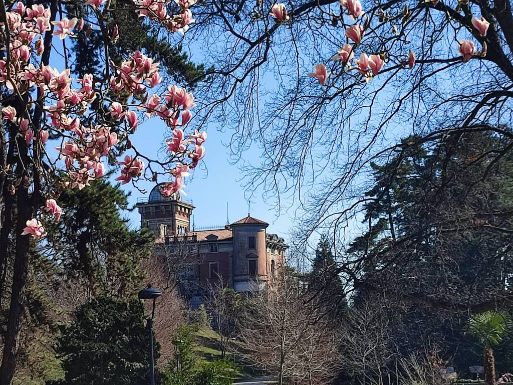 Villa Toeplitz 