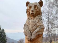 Vivere in un alpeggio