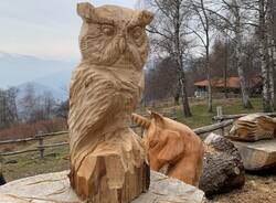 Vivere in un alpeggio