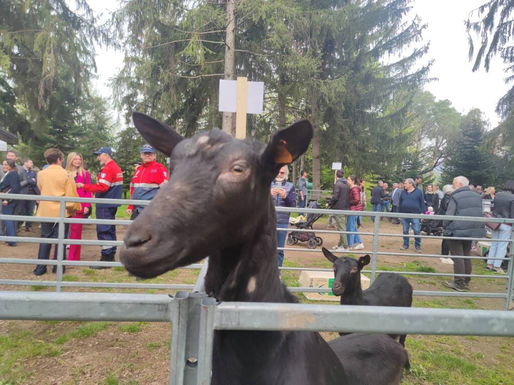Agrivarese ai Giardini Estensi: animali, trattori e i prodotti della terra