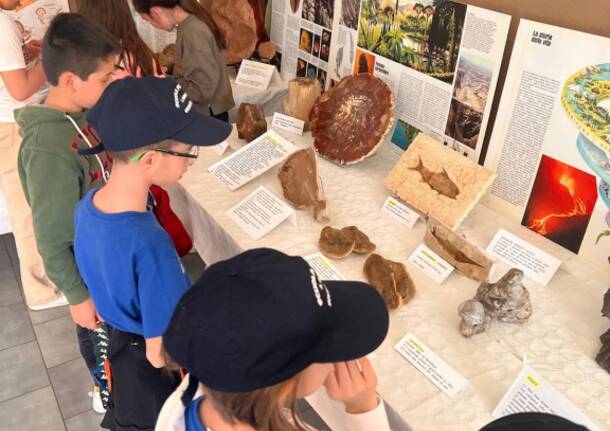 Partecipazione alla mostra Fossili e minerali alla scuola primaria di Oggiona