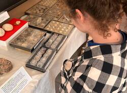 alla scoperta di fossili e minerali oggiona
