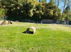  area cani Cardano al Campo 