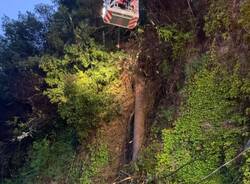 Cade una pianta sulla strada, vigili del fuoco in azione nel Comasco
