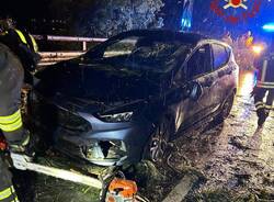 Cade una pianta sulla strada, vigili del fuoco in azione nel Comasco
