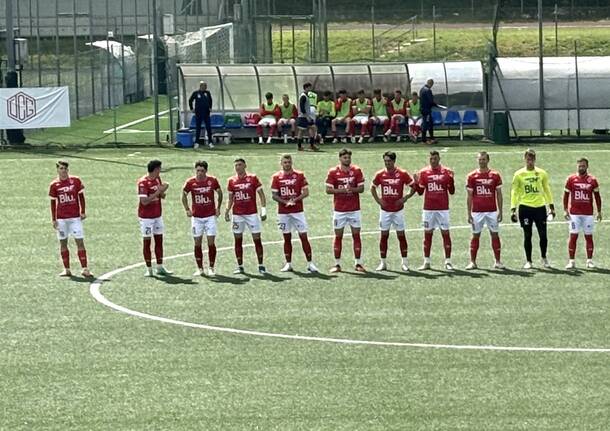 calcio chisola varese