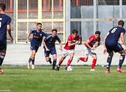 calcio varese pinerolo