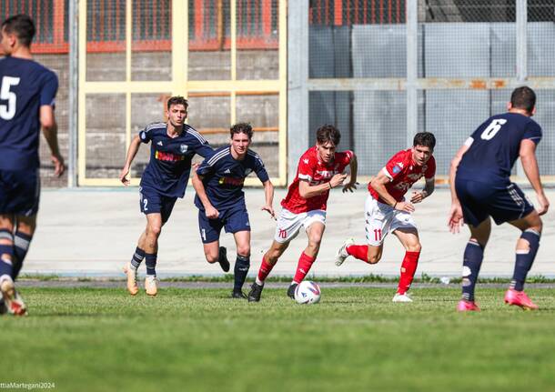 calcio varese pinerolo