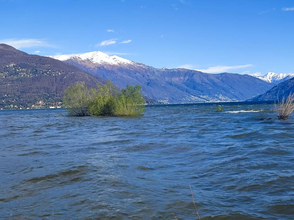 La foce del Tresa dopo i temporali