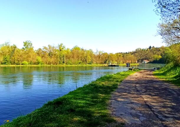 La forza dell’acqua, il Ticino svuota il Lago Maggiore in piena