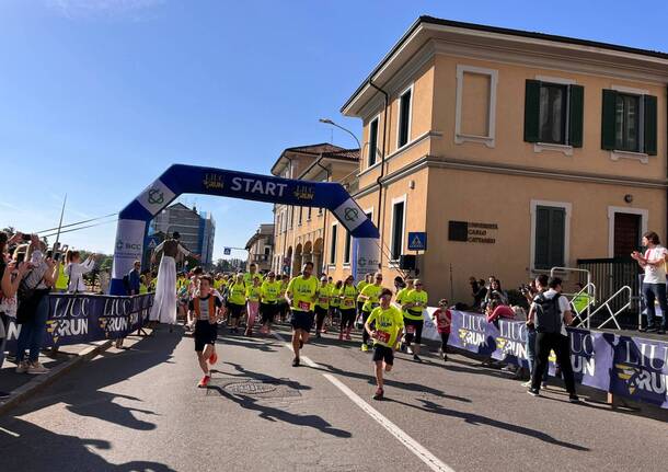 LIUC Run 2024, le foto più belle da Castellanza