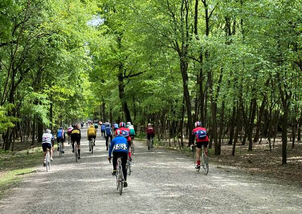 ciclostorica Tre Leoni