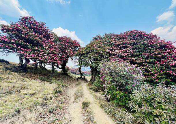 Da Varese al Nepal 2024: la cura degli Sherpa