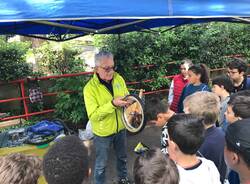 Educazione stradale per le scuole di Saronno 