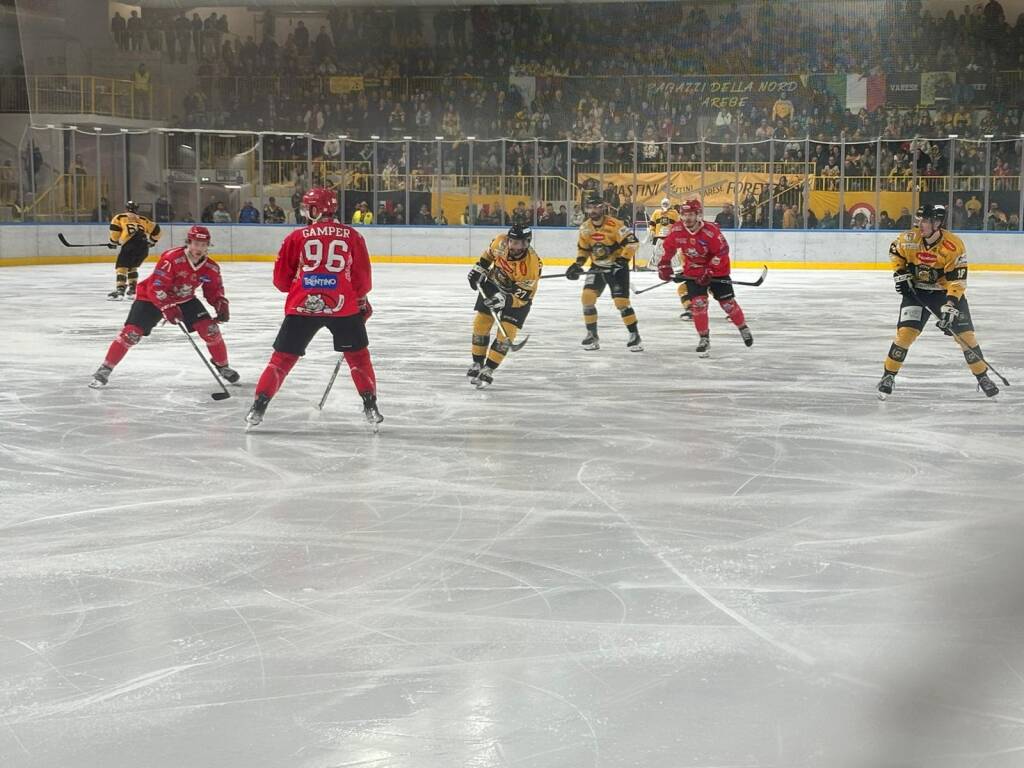 Festa giallonera in tribuna, Mastini - Pergine 3-1