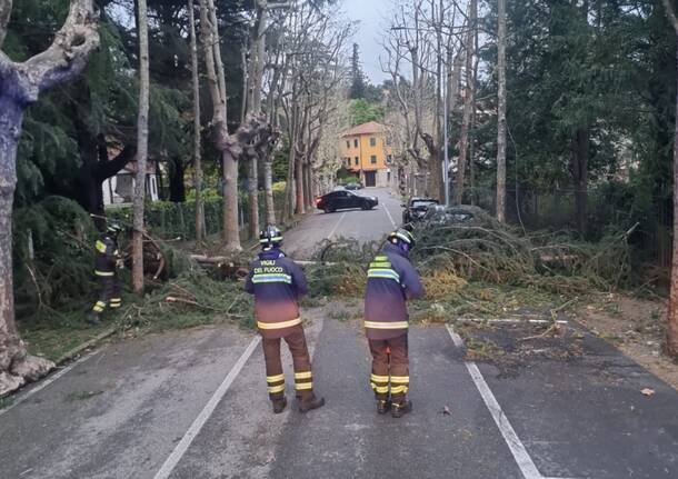 Forte vento su Varese, l'intervento dei Vigili del Fuoco