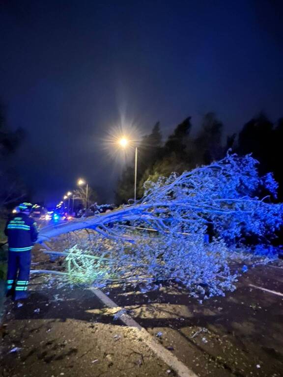 Forte vento su Varese, l'intervento dei Vigili del Fuoco 