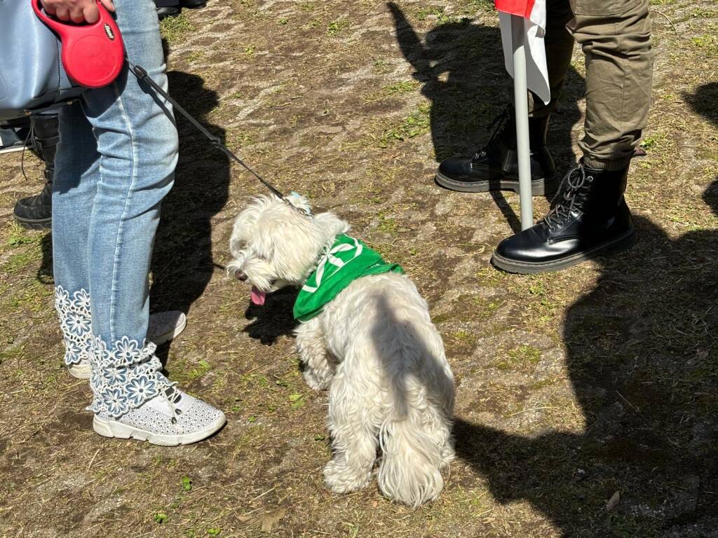 Gemonio Lega Lombarda