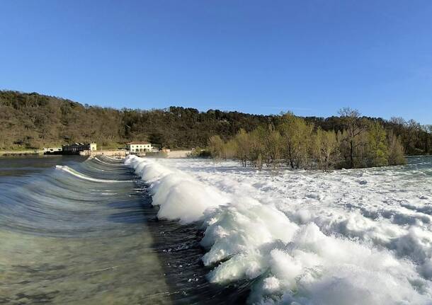 piena Ticino panperduto