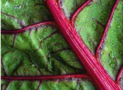 Generico 15 Apr 2024