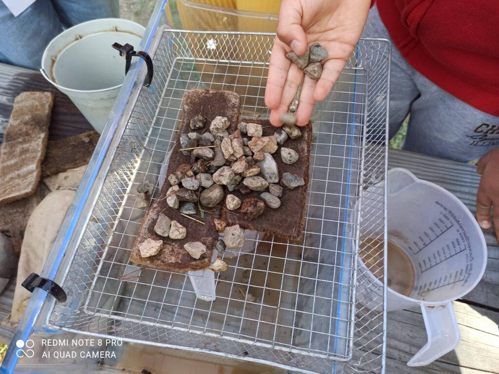 I bambini della primaria di Porto Valtravaglia a lezione sull'importanza dell'acqua