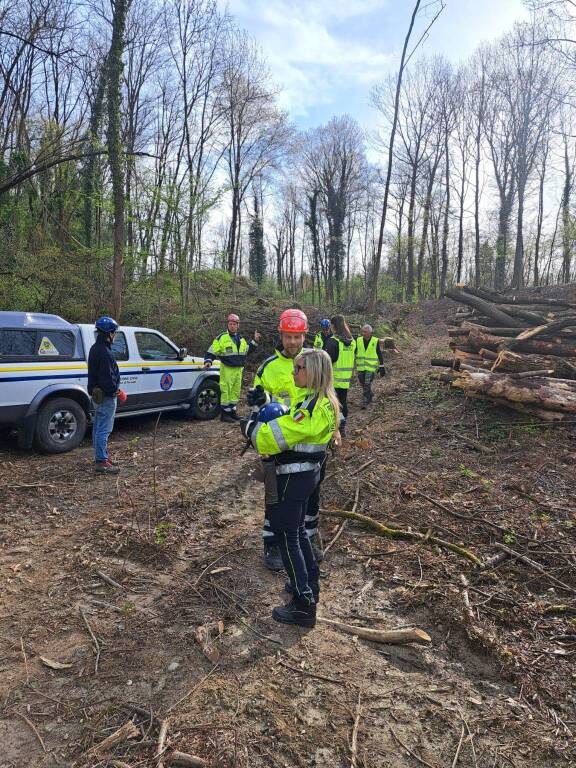 I boschi di Mercallo ripuliti dagli accampamenti dello spaccio