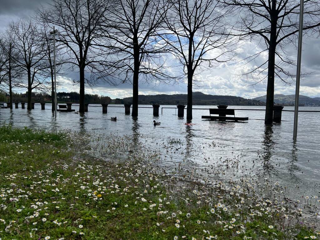Ispra - Lago Maggiore 1° aprile 2024