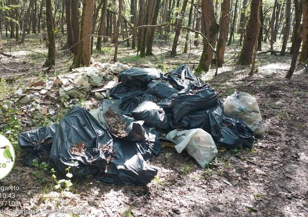 Lavatrice, passeggino, una bici rubata e tanto amianto trovati nel bosco del Rugareto