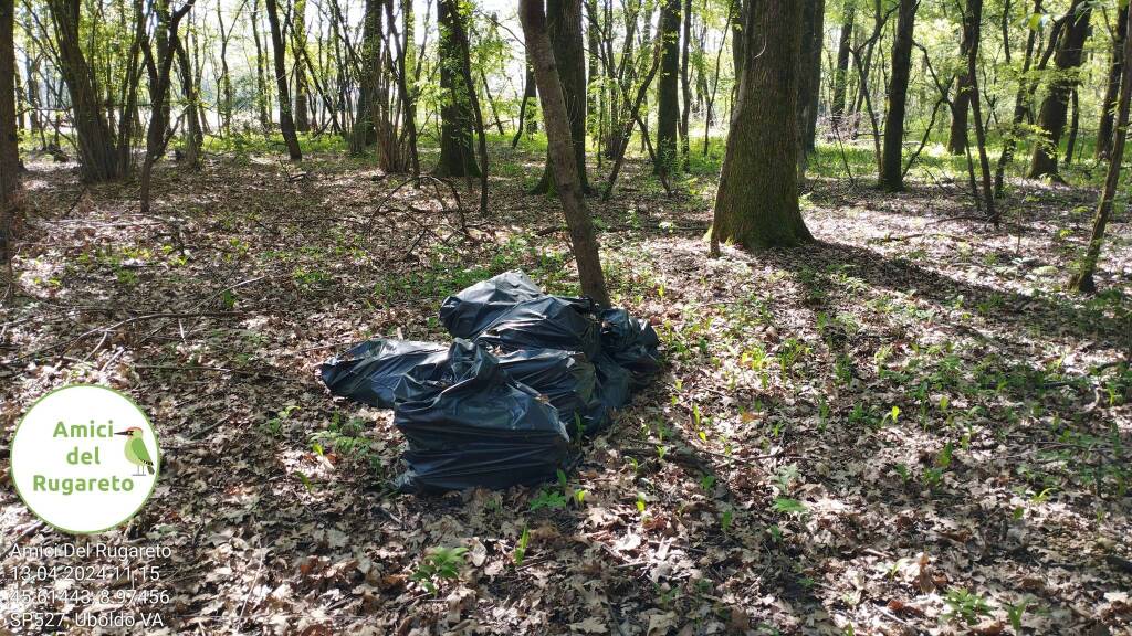 Lavatrice, passeggino, una bici rubata e tanto amianto trovati nel bosco del Rugareto