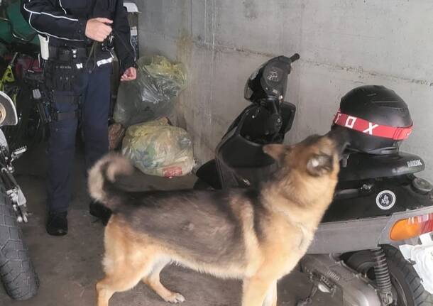 Polizia comando unico Pogliano Nerviano