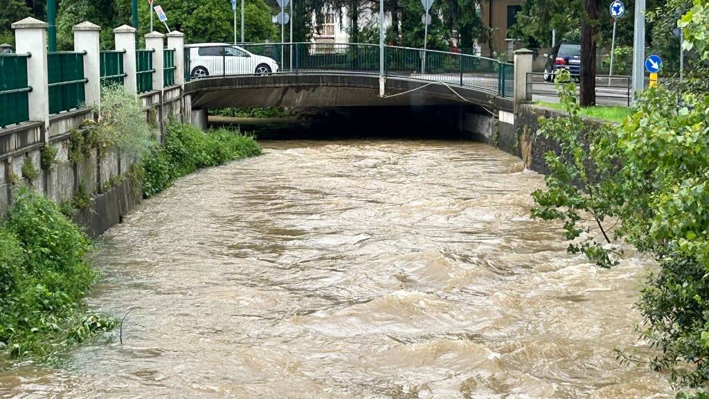 Arno e Sorgiorile in piena a Gallarate