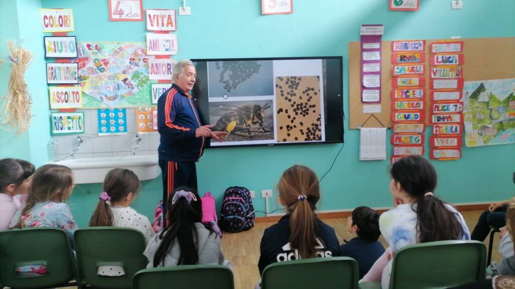 bioblitz 2024 nel giardino della primaria manzoni di morosolo