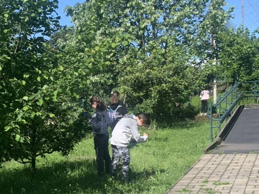 bioblitz 2024 nel giardino della primaria manzoni di morosolo